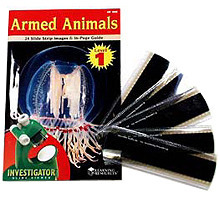 [과학사진] [EDU 2800] Investigator® Slide Strips: Level 1. 동물의 보호기관 Armed Animals