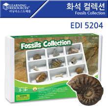 [EDI5204] 화석 컬렉션 9종 화석세트 학교용 화석